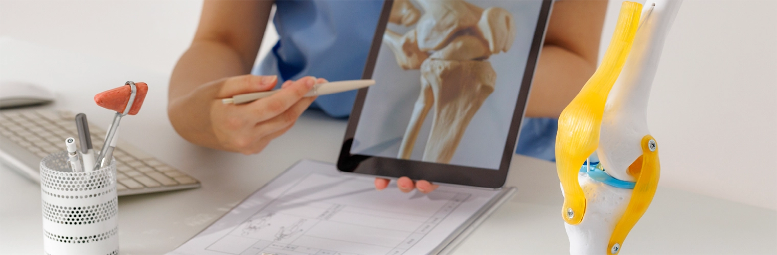 전문성과 표준화